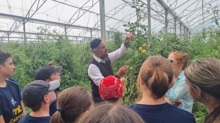 נערים ונערות בפעילות חקלאית במסגרת פרויקט להיות ייעודי