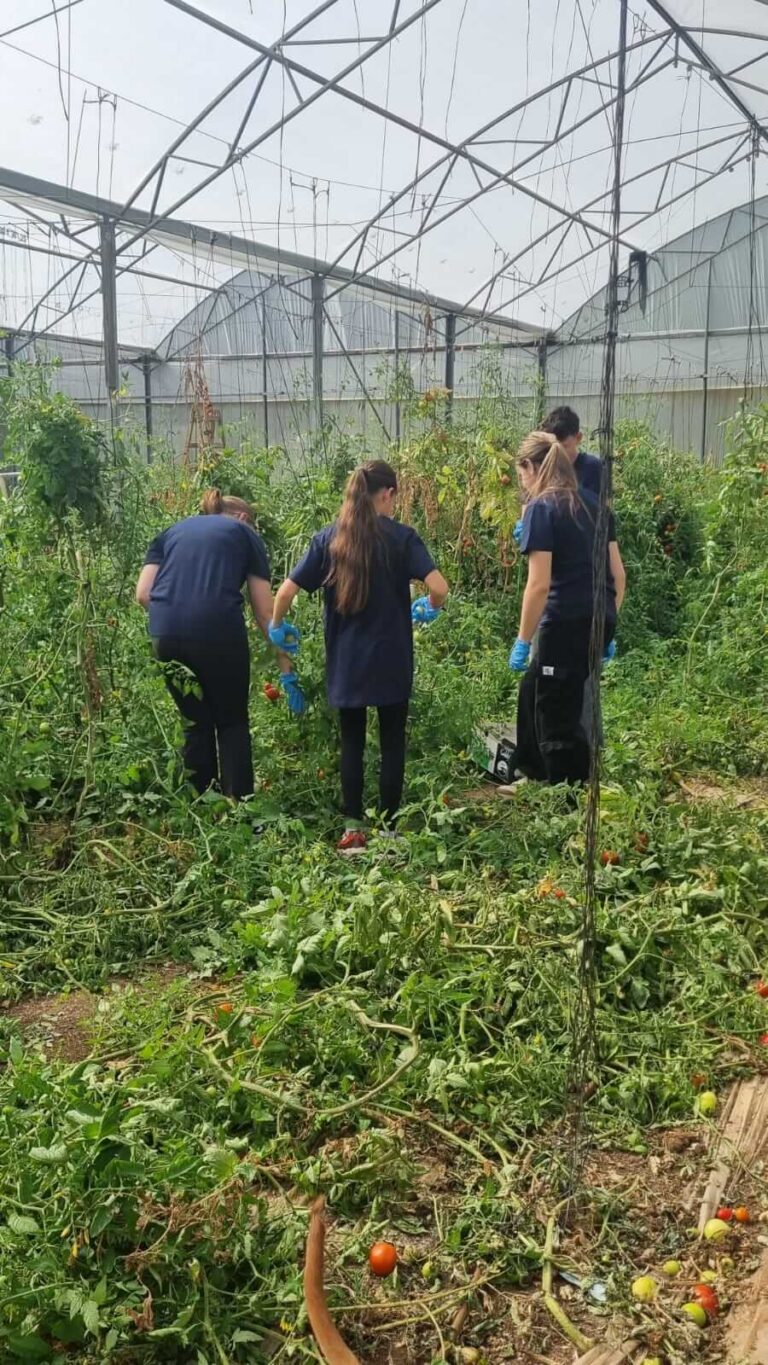 נערים ונערות בפעילות חקלאית במסגרת פרויקט להיות ייעודי