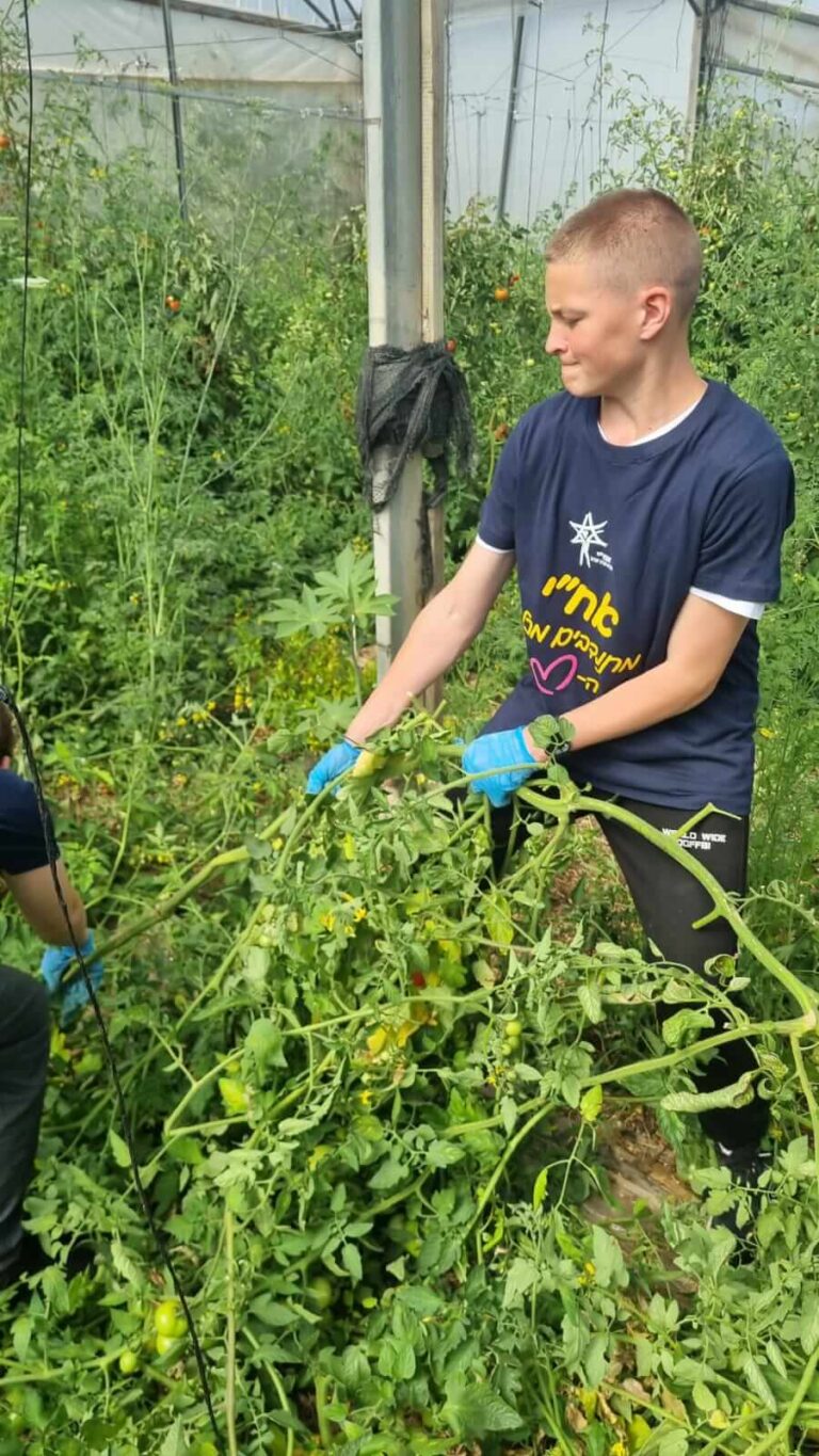 נערים בפעילות חקלאית במסגרת פרויקט להיות ייעודי