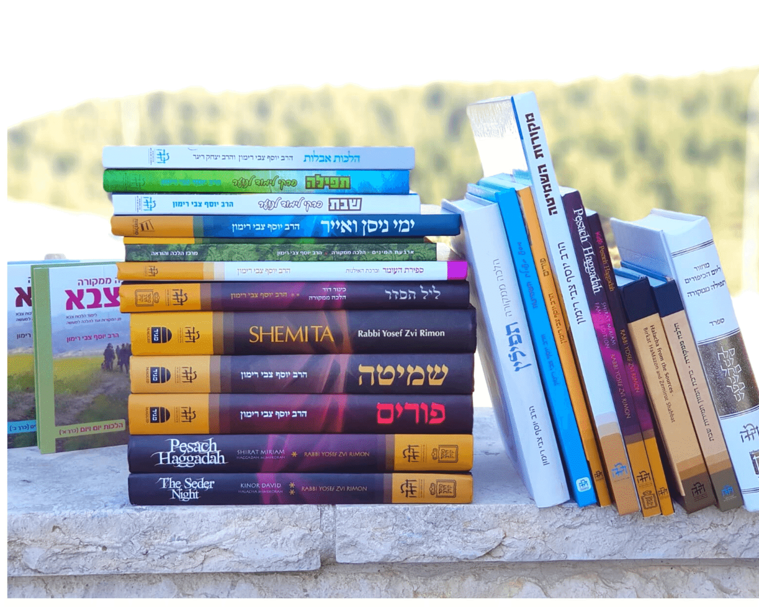 שיעורים - סולמות