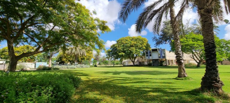 מרבדי דשא ועצים ובנין מרכזי - תמונת קיבוץ טיפוסי בישראל